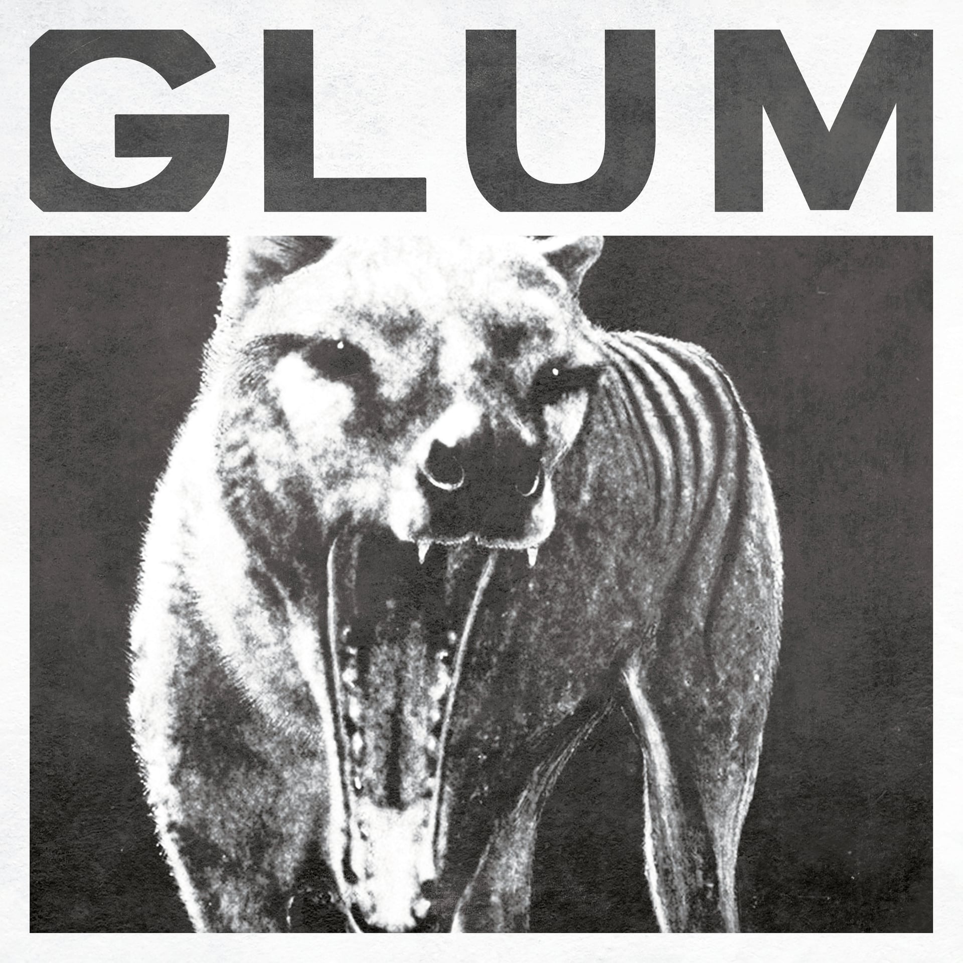 Glum - Thylacine